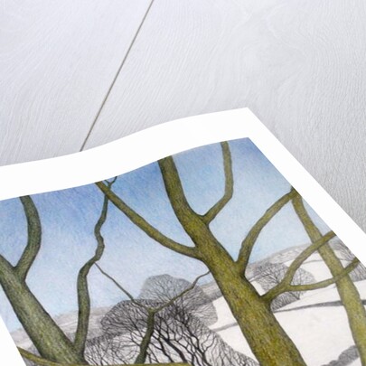 Winters Day, 2013 by Ann Brain