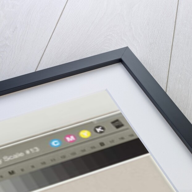 The Blind Fiddler by John Harden