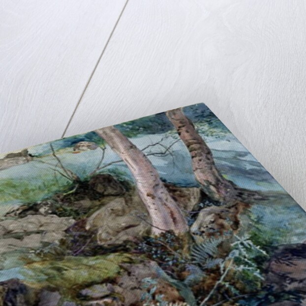 Study of rocks and ferns in a wood at Crossmount, Perthshire, 1843 by John Ruskin