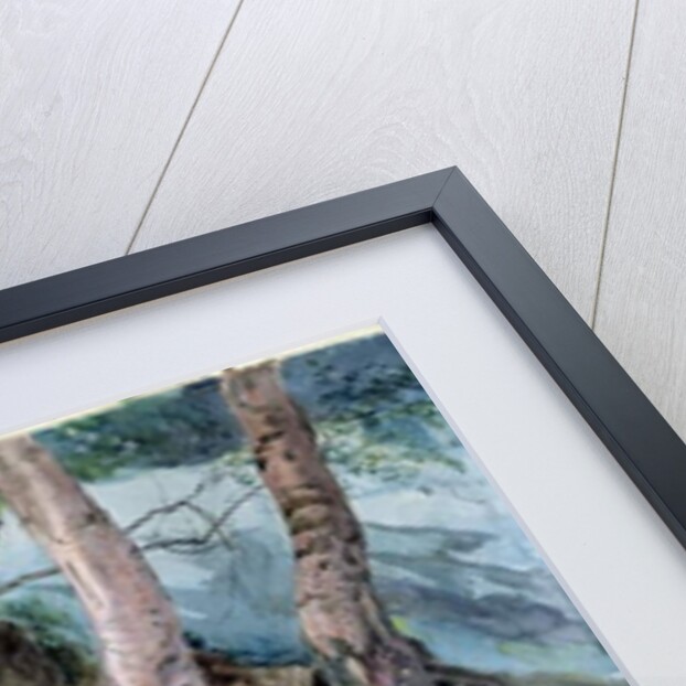 Study of rocks and ferns in a wood at Crossmount, Perthshire, 1843 by John Ruskin