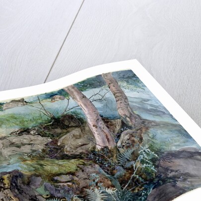 Study of rocks and ferns in a wood at Crossmount, Perthshire, 1843 by John Ruskin