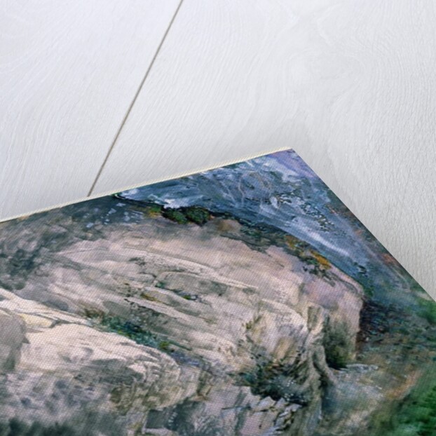 Rocks and vegetation at Chamouni, 1854 by John Ruskin