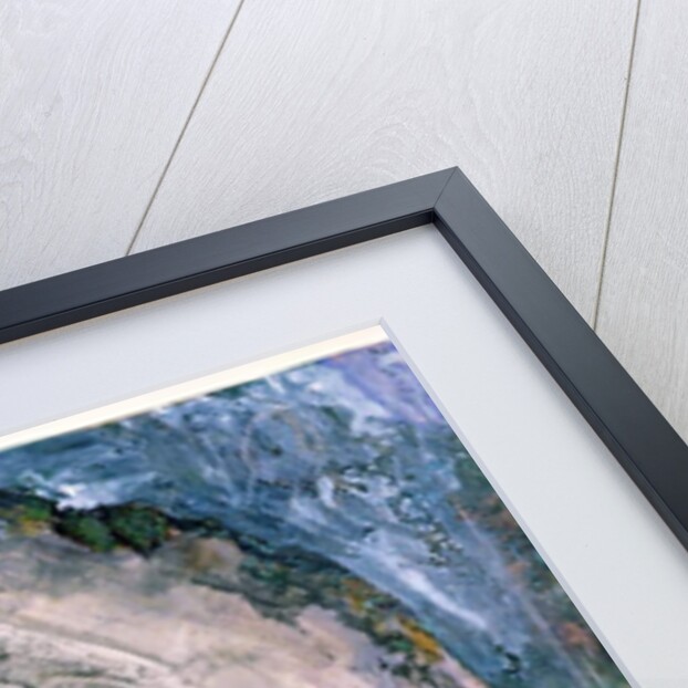 Rocks and vegetation at Chamouni, 1854 by John Ruskin