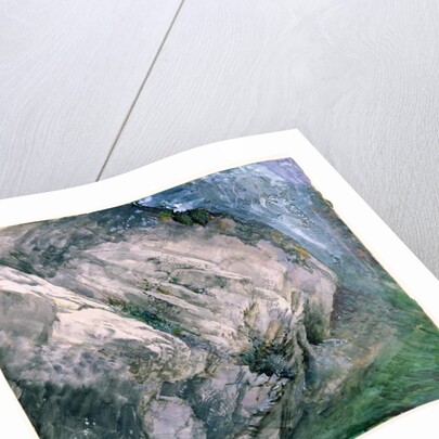 Rocks and vegetation at Chamouni, 1854 by John Ruskin