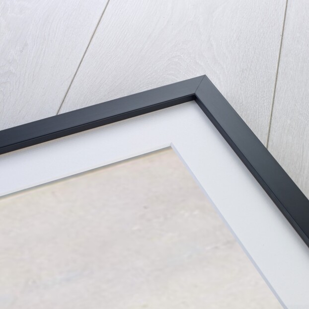 Chamonix, Mt Blanc by John Ruskin