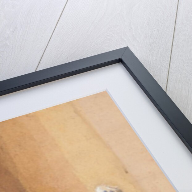 Reading and weaving by John Harden