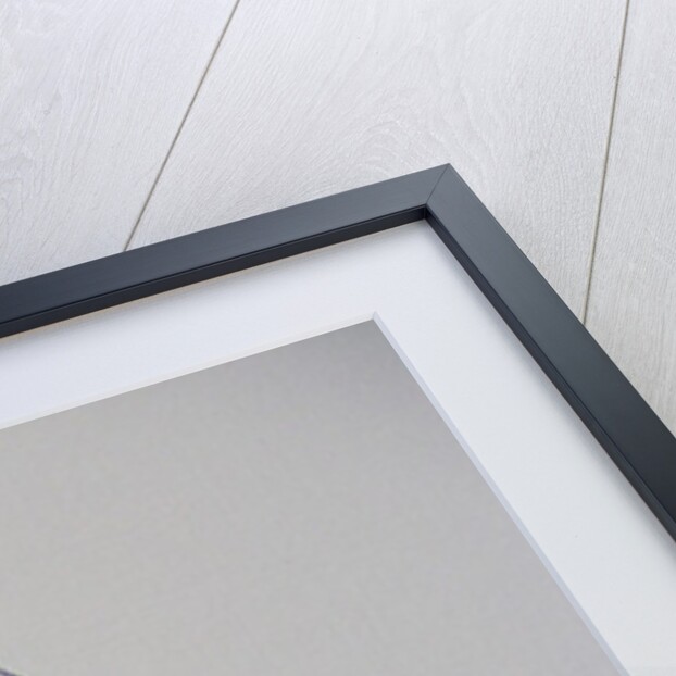 Margarita '56 by Vernon Holt