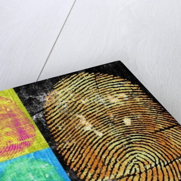 Roots & Thorns, 2014 by Francois Domain