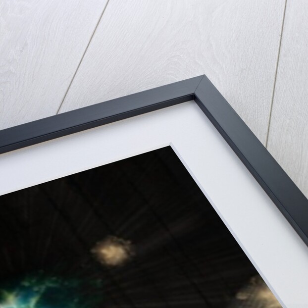 God doesn't play dice, 2014 by Francois Domain