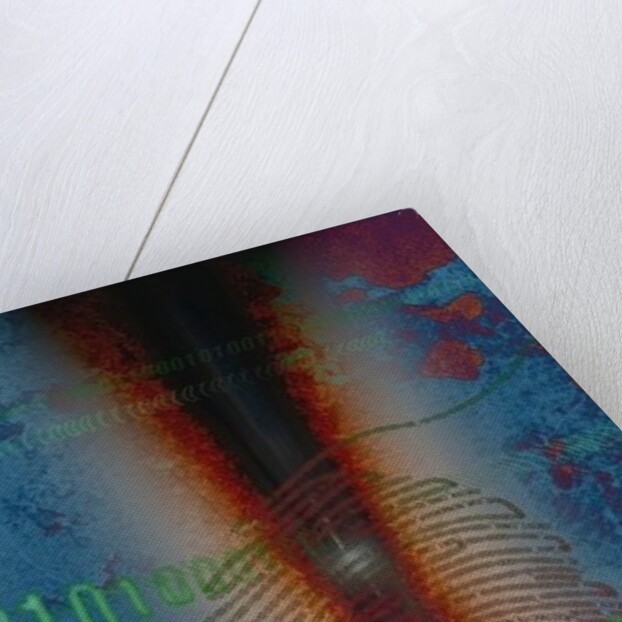 DIG1TS, 2014 by Francois Domain