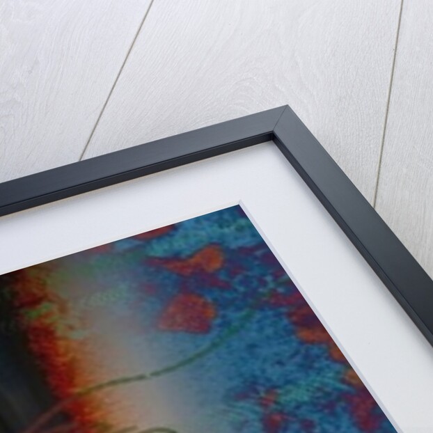 DIG1TS, 2014 by Francois Domain