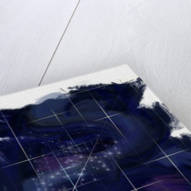 Genesis Day 4: Stars, 2014 by Francois Domain