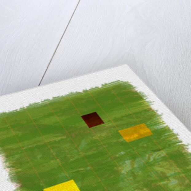 Genesis Day 3: Vegetation, 2014 by Francois Domain