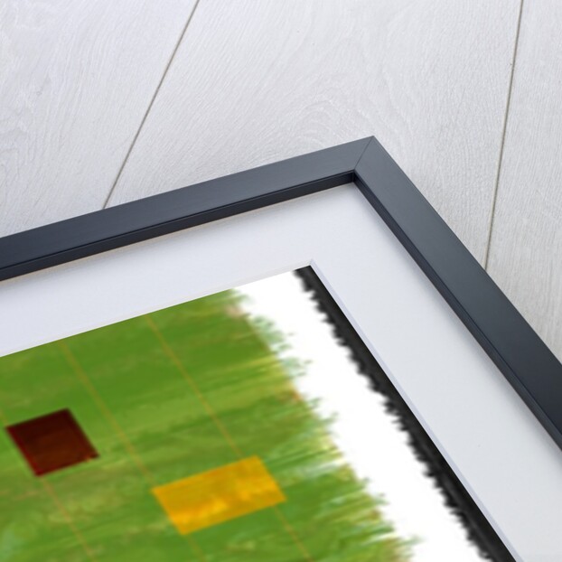 Genesis Day 3: Vegetation, 2014 by Francois Domain