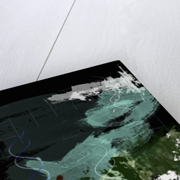 Genesis Day 5: Creatures, 2014 by Francois Domain