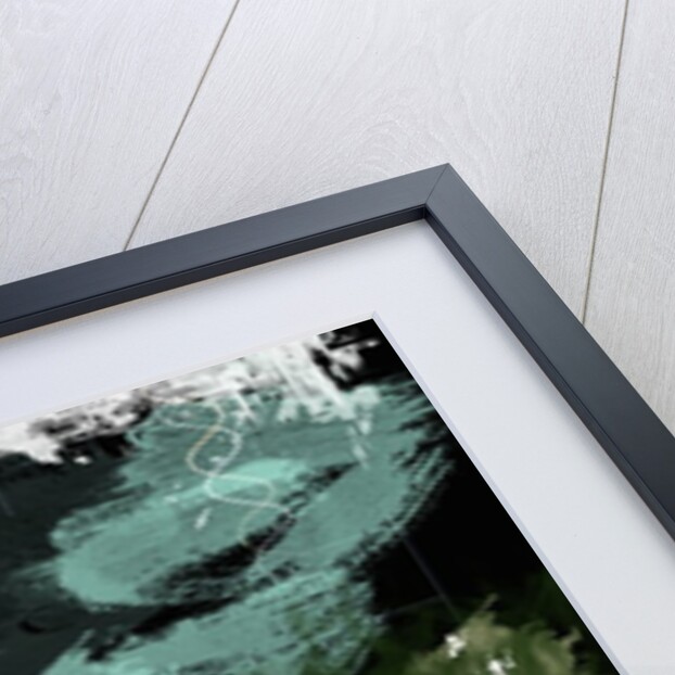 Genesis Day 5: Creatures, 2014 by Francois Domain