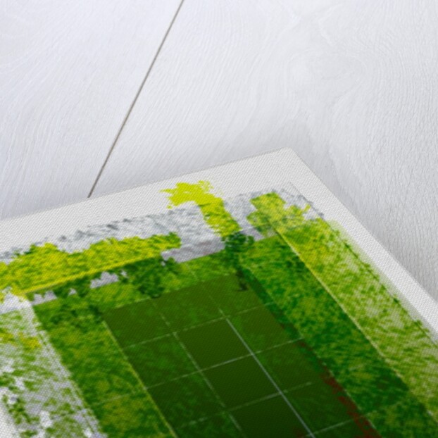 Genesis Day 6: Man, 2014 by Francois Domain