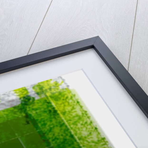 Genesis Day 6: Man, 2014 by Francois Domain