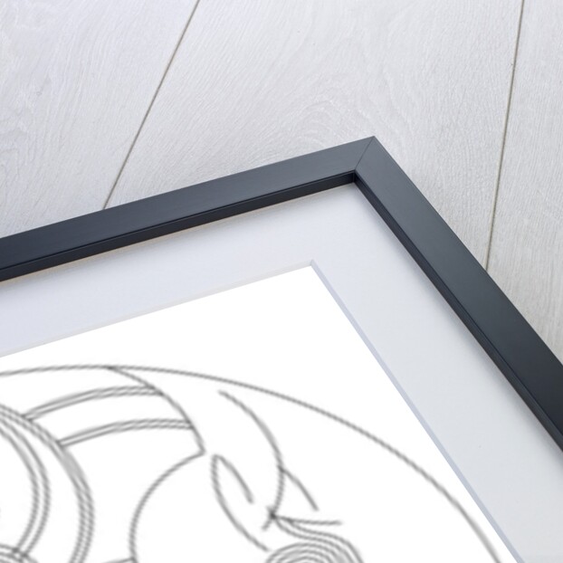 Queen, 2015 by Francois Domain