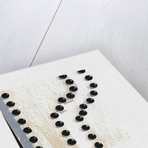 White, 2015 by Francois Domain