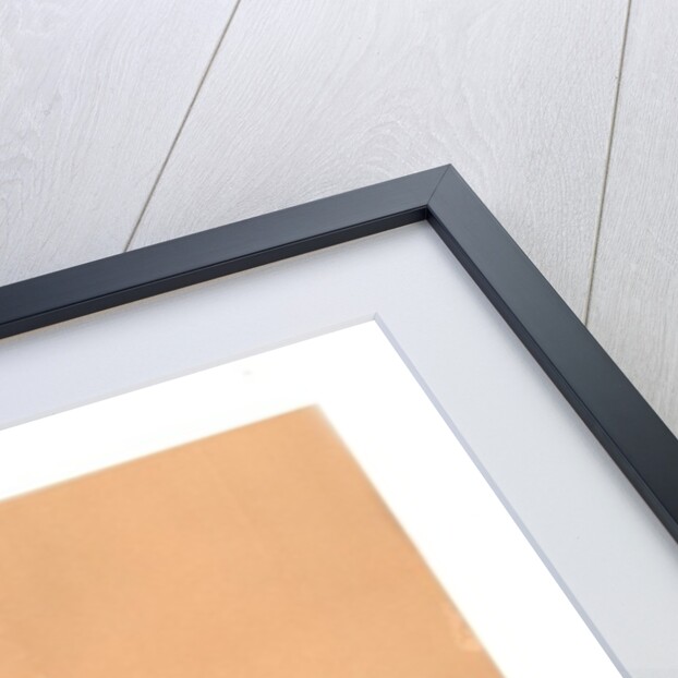 Whirling Dervish, 2015 by Francois Domain