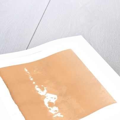 Whirling Dervish, 2015 by Francois Domain