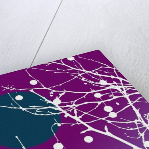 Winter is coming, 2016 by Francois Domain