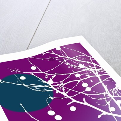 Winter is coming, 2016 by Francois Domain