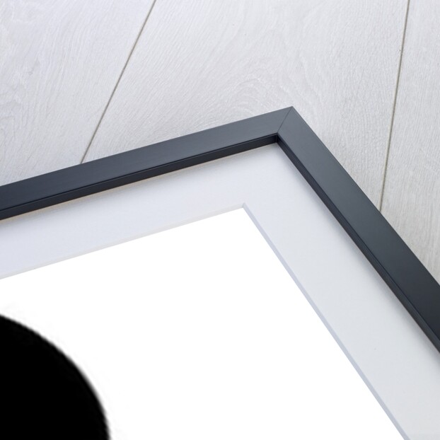 Treble Clef, 2016 by Francois Domain