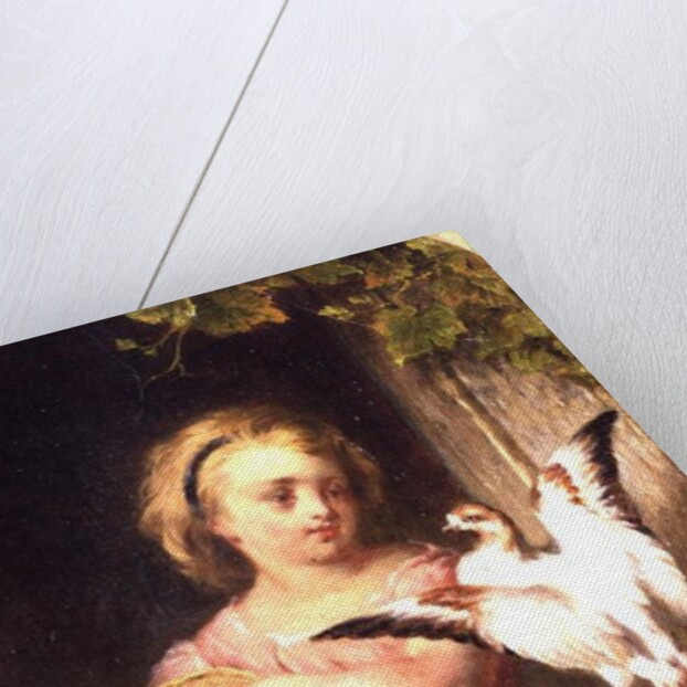 Girl Feeding Pigeons by English School