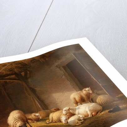 A Sunlit Barn with Ewes, Lambs and Chickens by Eugene Joseph Verboeckhoven