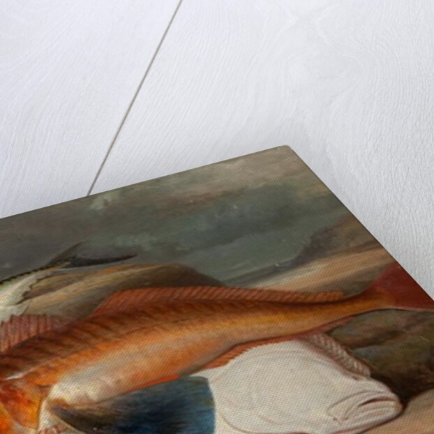 The Catch by Henry Leonidas Rolfe