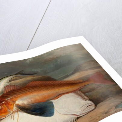 The Catch by Henry Leonidas Rolfe