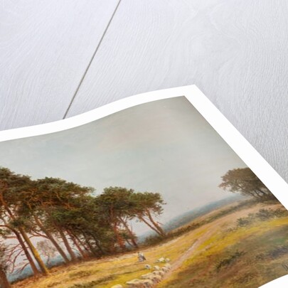 Evening at Bletchworth by Daniel Sherrin