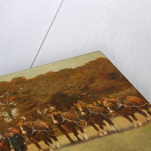 Shire Horses, 1896 by James Weaver Tattersall