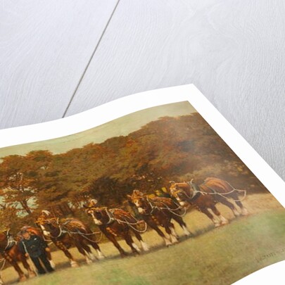 Shire Horses, 1896 by James Weaver Tattersall