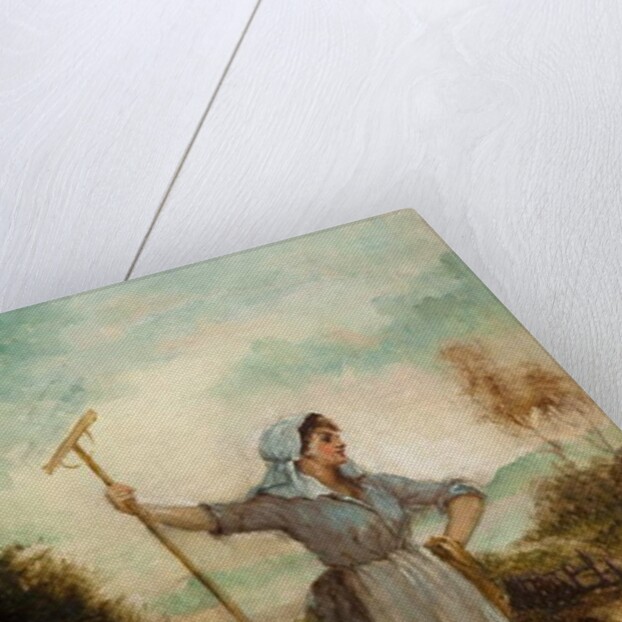 A Harvest Beauty by John A. McColvin