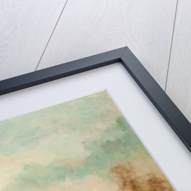 A Harvest Beauty by John A. McColvin