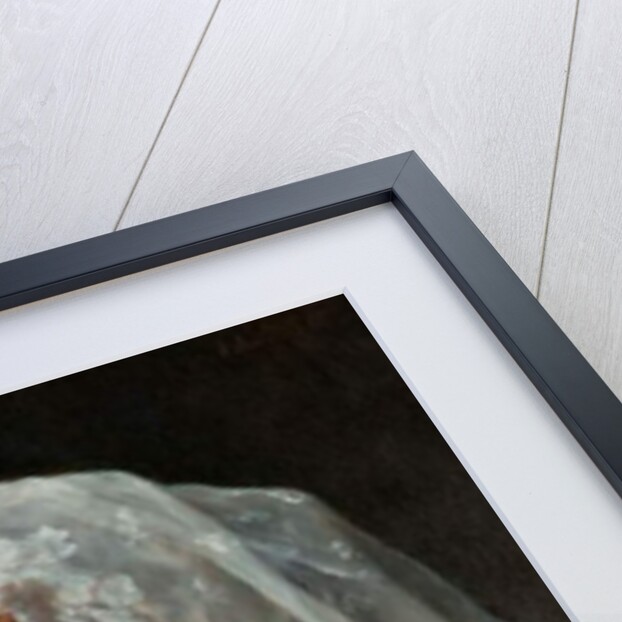 An English Beauty by Federigo Andreotti