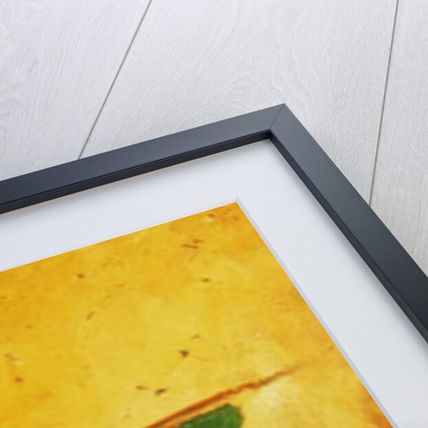 The Intervention, 1915 by Adriana Bisi Fabbri