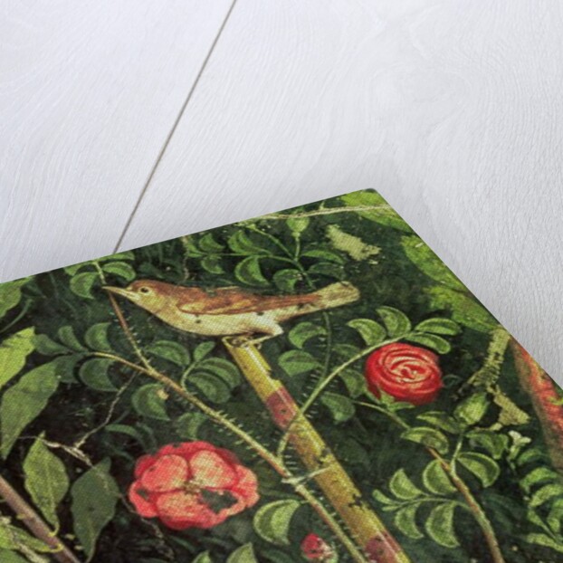 Wall painting of a bird in a garden, Pompeii, 1st century AD by Anonymous