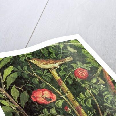 Wall painting of a bird in a garden, Pompeii, 1st century AD by Anonymous