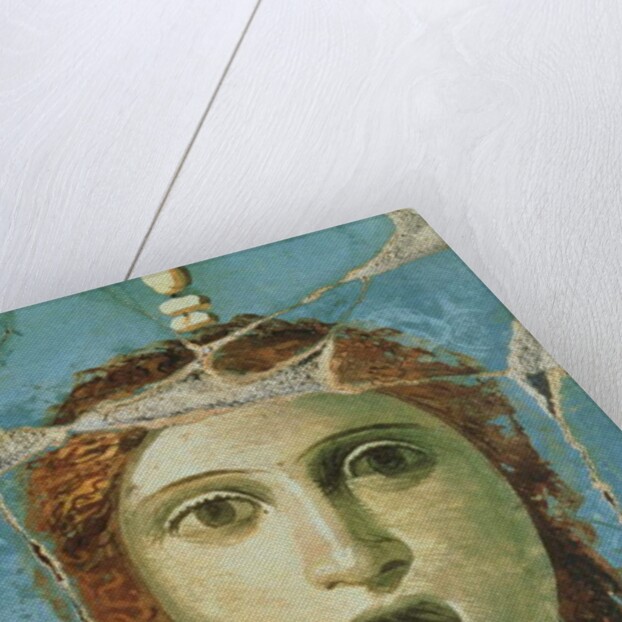 Wall painting of a female head, Pompeii, 1st century AD by Roman Roman