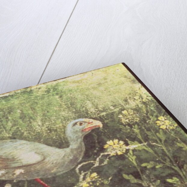 Wall painting of a Sultan chicken in a garden, Pompeii, 1st century AD by Anonymous