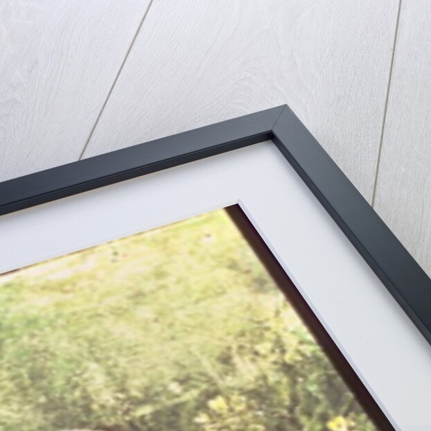 Wall painting of a Sultan chicken in a garden, Pompeii, 1st century AD by Anonymous