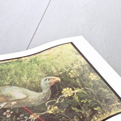 Wall painting of a Sultan chicken in a garden, Pompeii, 1st century AD by Anonymous