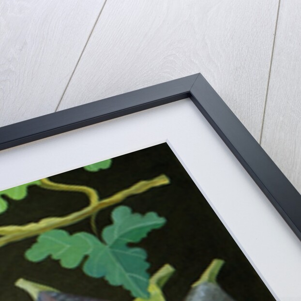 Figs on black, 2014 by Jennifer Abbott