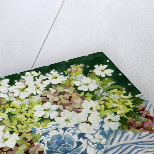 Cosmos and hydrangeas in a chinese vase, 2013 by Jennifer Abbott