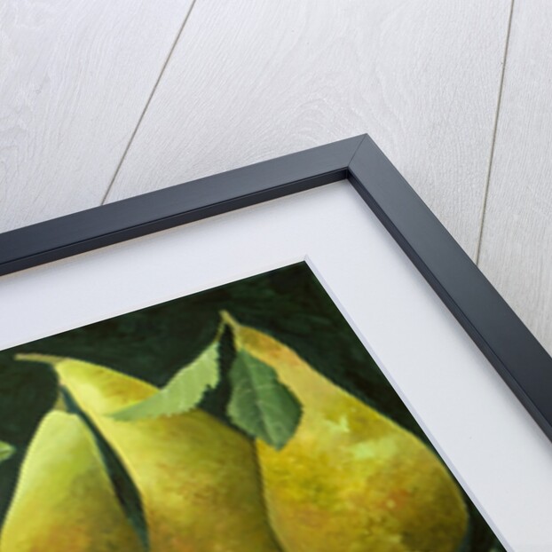 Mixed fruit, 2013 by Jennifer Abbott