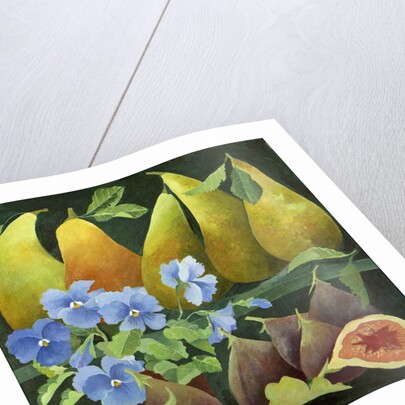 Mixed fruit, 2013 by Jennifer Abbott